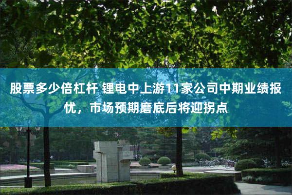 股票多少倍杠杆 锂电中上游11家公司中期业绩报忧,市场预期磨底后将迎拐点