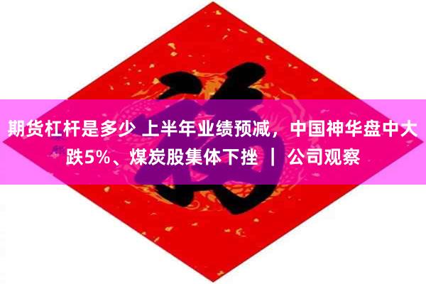 期货杠杆是多少 上半年业绩预减,中国神华盘中大跌5%、煤炭股集体下挫 | 公司观察