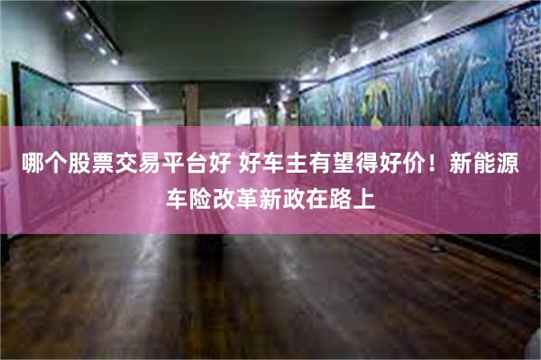 哪个股票交易平台好 好车主有望得好价!新能源车险改革新政在路上