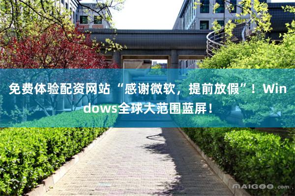 免费体验配资网站 “感谢微软,提前放假”!Windows全球大范围蓝屏!