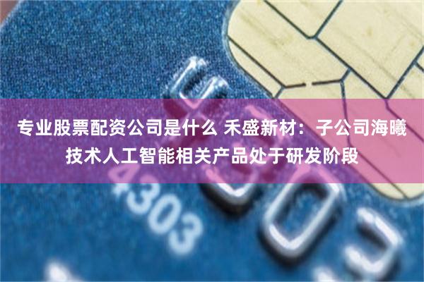 专业股票配资公司是什么 禾盛新材:子公司海曦技术人工智能相关产品处于研发阶段