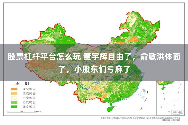 股票杠杆平台怎么玩 董宇辉自由了,俞敏洪体面了,小股东们亏麻了