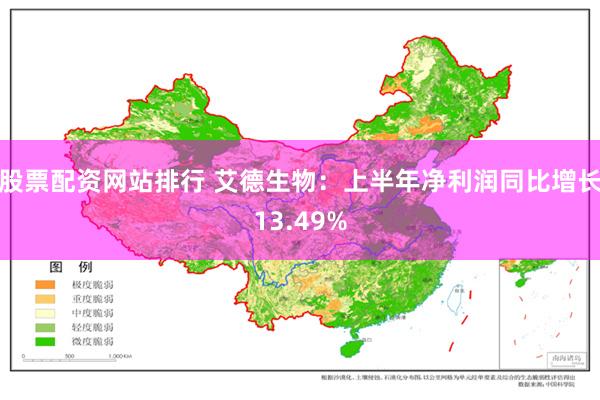 股票配资网站排行 艾德生物:上半年净利润同比增长13.49%