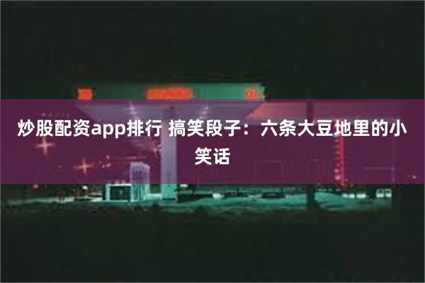 炒股配资app排行 搞笑段子:六条大豆地里的小笑话