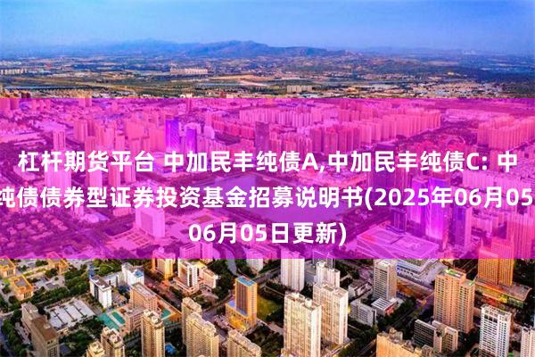 杠杆期货平台 中加民丰纯债A,中加民丰纯债C: 中加民丰纯债债券型证券投资基金招募说明书(2025年06月05日更新)