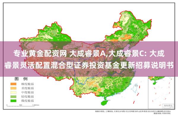 专业黄金配资网 大成睿景A,大成睿景C: 大成睿景灵活配置混合型证券投资基金更新招募说明书