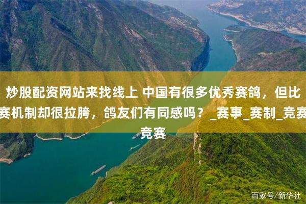 炒股配资网站来找线上 中国有很多优秀赛鸽，但比赛机制却很拉胯，鸽友们有同感吗？_赛事_赛制_竞赛
