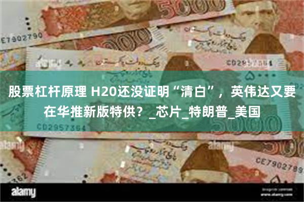 股票杠杆原理 H20还没证明“清白”,英伟达又要在华推新版特供?_芯片_特朗普_美国